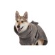 Ein Hund trägt einen weichen, grauen Handtuch-Roben, der seine Ohren und seinen Körper zeigt, mit einem Knoten in der Taille für einen sicheren Sitz.