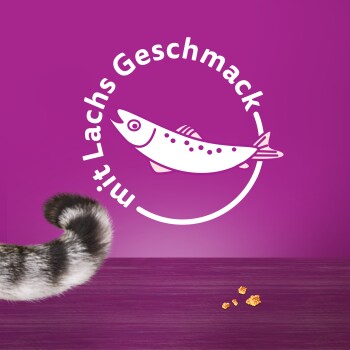 Na lewym boku widoczny jest paskowany ogon kota, na purpurowym tle z białą grafiką ryby i napisem "mit Lachs Geschmack."
