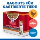 Hill's Science Plan Healthy Cuisine Katzenfutterverpackung für sterilisierten Katzen, die Huhn und Fisch zeigt, mit 'Ragouts für kastrierte Tiere.'