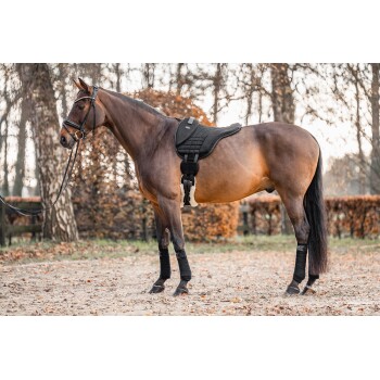 Ein braunes Pferd steht in einem sandigen Bereich, trägt eine schwarze Satteldecke und schwarze Beinschoner, mit herbstlichem Laub im Hintergrund.