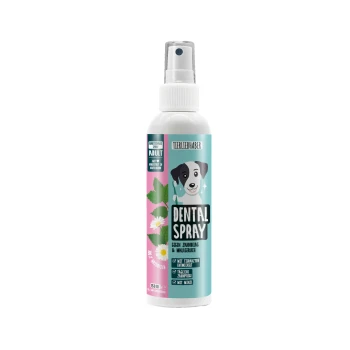 Eine Flasche Zahnspray für Haustiere, mit einem türkisfarbenen und rosa Etikett mit einem Zahn-Graphic und dem Text "DENTALSPRAY" am unteren Rand.