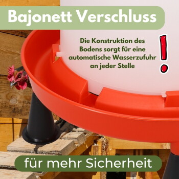 Rote Hühnertränke mit weißem Behälter, Huhn lugt am Holzhuhnstall hervor; sichtbarer Text: Bajonettverschluss, für mehr Sicherheit