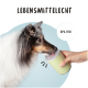 Ein Hund, der einen grünen Futterbehälter hält, mit dem Text "LEBENSMITTELLECHT" und "BPA-FREI" darüber.
