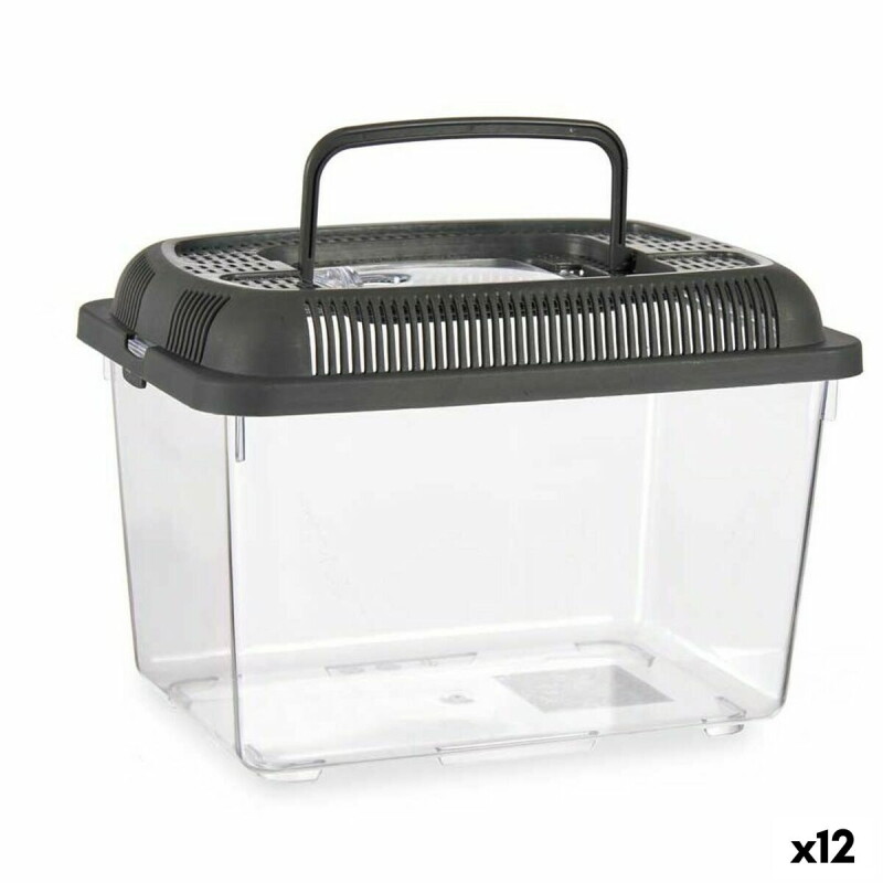 Mascow Fischbecken