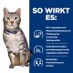 Eine graue getigerte Katze mit grünen Augen sitzt vor einem blauen Hintergrund und hebt die Vorteile eines Haustierprodukts für das emotionale Gleichgewicht hervor.