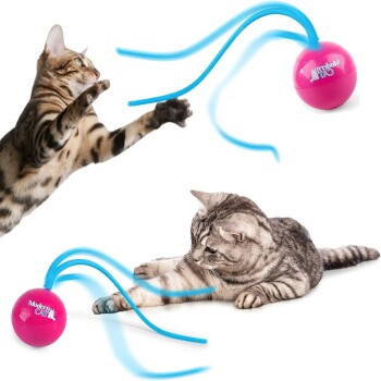 Zwei getigerte Katzen spielen mit pinken „Modern Cat“-Spielbällen mit blauen Bandtentakeln.