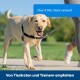 Easy Walk Anti-Zieh-Hundegeschirr schwarz M
