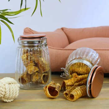 Glasbehälter gefüllt mit Hundeleckerlis, einschließlich gerollter Kaustreifen, stehen auf einer Holzoberfläche neben einem weichen Haustierbett und einem Seilspielzeug.