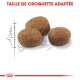 Trois croquettes pour animaux de compagnie brunes sont affichées sur un fond de règle esquissée, avec le texte "TAILLE DE CROQUETTE ADAPTÉE" au-dessus.