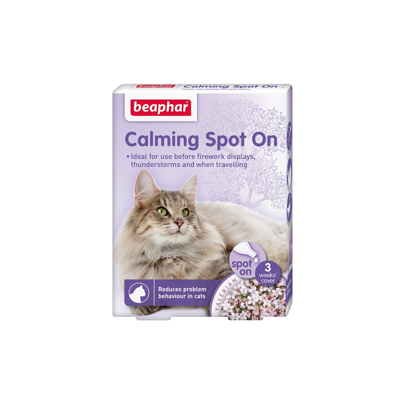 Calming spot on for cats best sale