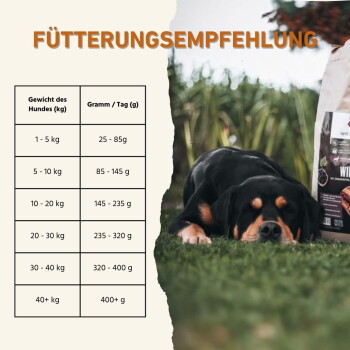 Hundefutter für Erwachsene, präsentiert mit einem lächelnden Border Collie, zeigt die Kibble-Größe (14 mm x 5 mm) und den Markennamen "WILDFANG."