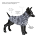 Ein schwarzer Hundemodell in einem zebra-gestreiften "Repeltec"-Shirt mit Insektenschutz, UV-Schutz und leichtem elastischem Material.