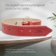 Rotes Leder-Hundehalsband mit silberner Schnalle, mit dem Markennamen "Freudentier" und Text über umweltfreundliche Produktion.