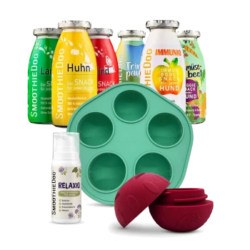SmoothieDog-Snackset: Flaschen mit den Aufschriften 'Huhn' und 'IMMUNIO', Silikonform mit sechs Mulden, RELAXIO-Spray und rote Leckerlibällchen.