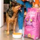 Owczarek niemiecki stoi obok osoby z torbą karmy dla psów Edgard Cooper oznaczoną "Pyszna dziczyzna i wolno biegająca kaczka."