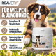 Ein verspielter Hund springt in die Luft, um einen leuchtend gelben Frisbee gegen einen klaren blauen Himmel zu fangen.