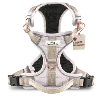 atmungsaktives Hundegeschirr Clyde XS Hundegeschirr in Weiß und Beige mit einem atmungsaktiven Mesh-Design, mit einem Etikett, das "ATMUNGS-AKTIV GEPOLSTERT" und den Markennamen "FREUDENTIER" trägt.
