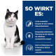 Eine schwarz-weiße Katze sitzt vor einem blauen Hintergrund mit Text, der die leichte Verdaulichkeit und die präbiotische Mischung eines Haustierprodukts hervorhebt.
