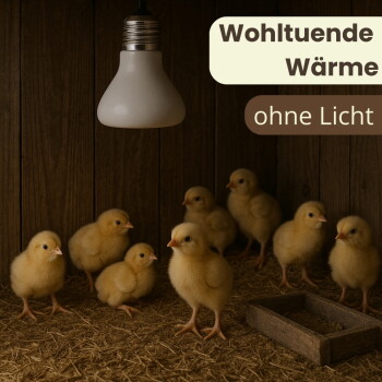 Gelbe Küken unter einer hängenden Glühbirne in einem mit Stroh ausgelegten Holzstall mit Futterspender; Text 'Wohltuende Wärme' 'ohne Licht'