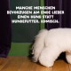 Fluffiger weißer Hundepopo auf Holzfußboden an grüner Wand und violetten Vorhängen; deutscher Untertitel, der ausdrückt, dass man lieber einen Hund als Hundefutter hätte.