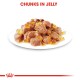 Chunks of pet food in jelly served on a white plate, with the text "CHUNKS IN JELLY" displayed above in bold red letters.