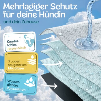 Saugfähige Haustier-Trainingspads mit einem mehrschichtigen Design, mit Text, der schnelles Trocknen, starke Saugfähigkeit und effektive Feuchtigkeitsisolierung hervorhebt.