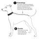 Skizze eines Hundes mit gestrichelter Rückenlängenlinie, Halsband 'THE DOG IDEA' und den deutschen Beschriftungen 'Rückenlänge', 'Gewicht'.