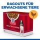 Hill's Science Plan Healthy Cuisine Hundefutterbox mit einer Schüssel Eintopf, einem Hundebild und dem Text "Ragouts für Erwachsene Tiere."