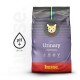 Urinary Harnwegsprobleme