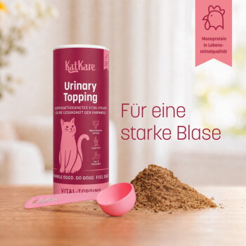 Graue Katze neben einem rosa KatKare-Behälter 'Urinary Topping' mit rosa Messlöffel und Pulver auf dem Tisch.