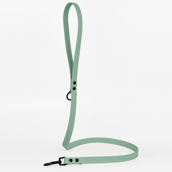 Eine mintgrüne Hundeleine mit schlankem Design, ausgestattet mit einem Clip an einem Ende und verstellbaren Löchern zur Größenanpassung.