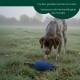 Blauer Canvas-Dummy für Hundetraining mit schwarzem Griffriemen und weißer Basis, verwendet für Apportierübungen.
