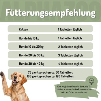 Petstore-Team mit Hunden, Text lautet "ES WIRD ERNST. LERN UNS KENNEN," hebt in Deutschland hergestellte Produkte mit Liebe hervor.