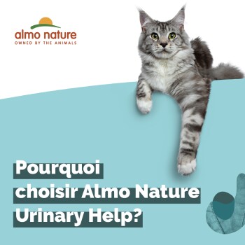 Almo Nature Holistic Urinary Help pour chat - lot mixte : 12 x 70 g poisson + 12 x 70 g poulet