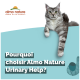 Un chat gris et blanc duveteux se prélasse sur un fond bleu clair avec "Pourquoi choisir Almo Nature Urinary Help ?" et le logo au-dessus.