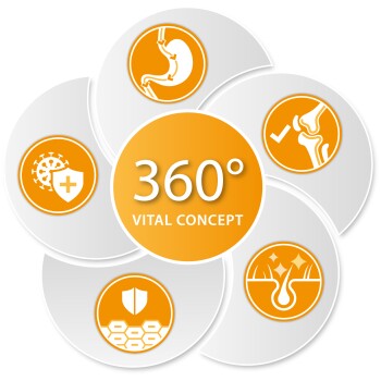 Grafik, die ein "360° Vital Konzept" mit fünf Symbolen darstellt, die Gesundheitsaspekte repräsentieren: Immunität, Verdauung, Gelenke, Haut und allgemeinen Schutz.