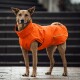 Ein Hund, der einen leuchtend orangefarbenen Regenmantel mit Kapuze trägt und auf einer Steinoberfläche steht, um sein stilvolles und funktionales Design zu zeigen.