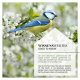 Ein Blaumeise sitzt auf einem Ast mit weißen Blumen, begleitet von Text in Deutsch und Englisch über den Erhalt von Vogelhabitaten.