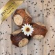 Drei hochwertige Haustierleckereien in Form von Kokosnüssen, mit einer Blume oben, umgeben von verstreuten Samen auf einer Holzoberfläche.