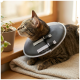 Getigerte Katze trägt einen grauen weichen Schutzkragen mit zwei Schnallen und ruht auf einer gefalteten Decke am Fensterbrett neben einer Topfpflanze.