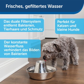 Ein kleiner Hund trinkt aus einer Edelstahl-Wasserschüssel mit einem dualen Filtersystem, umgeben von Text, der ihre Vorteile hervorhebt.