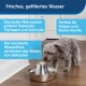 Ein kleiner Hund trinkt aus einer Edelstahl-Wasserschüssel mit einem dualen Filtersystem, umgeben von Text, der ihre Vorteile hervorhebt.