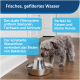 Ein kleiner Hund trinkt aus einer Edelstahl-Wasserschüssel mit einem dualen Filtersystem, umgeben von Text, der ihre Vorteile hervorhebt.
