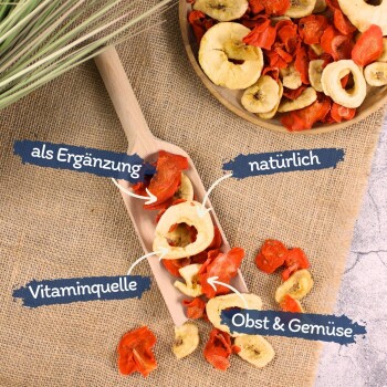 Getrocknete Obst- und Gemüsesnacks für Haustiere auf einem Holzlöffel und Teller mit deutschen Texten „als Ergänzung“, „natürlich“, „Vitaminquelle“ und „Obst & Gemüse“.