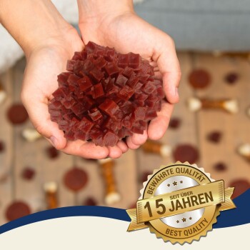 Eine Person hält rote würfelförmige Haustierleckerlis mit einem "Beste Qualität"-Abzeichen und "15 Jahre" in der Ecke.