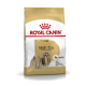 Royal Canin Adult Shih Tzu Hundefutterbeutel, mit einem langhaarigen Shih Tzu auf der Vorderseite, beschriftet für Hunde über 10 Monate alt.