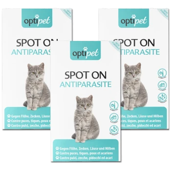 Drei Packungen "OptiPet Spot On Antiparasite" für Katzen, die eine graue Katze und mehrsprachige Gebrauchsanweisungen für Flöhe, Zecken und Läuse zeigen.