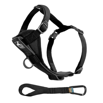 Tru-Fit Smart Hundegeschirr S Schwarzes Hundegeschirr mit verstellbaren Riemen und einem metallenen D-Ring, begleitet von einer passenden Leine mit einem Clip.