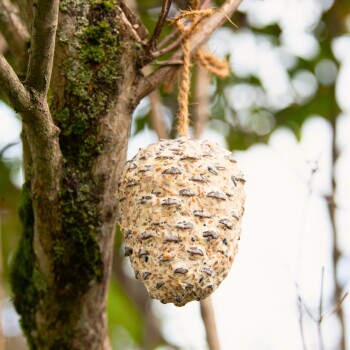 Ein Vogelfutterspender in Form einer Tannenzapfen, der von einem Baumast hängt, gefüllt mit Samen und Körnern, umgeben von grünem Laub.