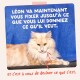 Chat orange duveteux (Léon) sur fond bleu avec une flèche rouge ; texte : « Léon vous fixe jusqu'à ce que vous lui donniez ce qu'il veut. »